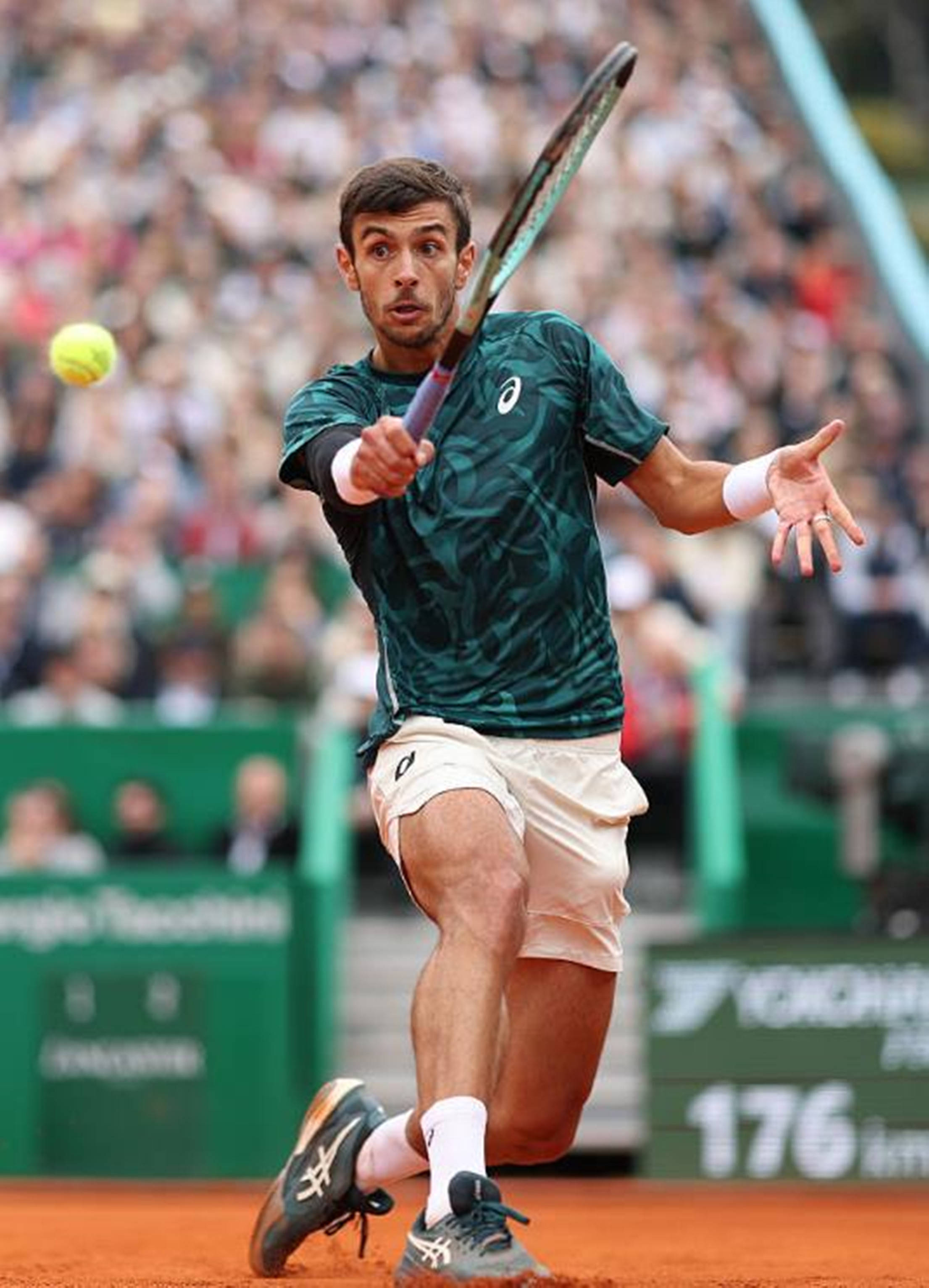 作为拥有中 作为拥有中